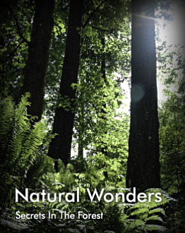 Photo Portfolio - Natural Wonders